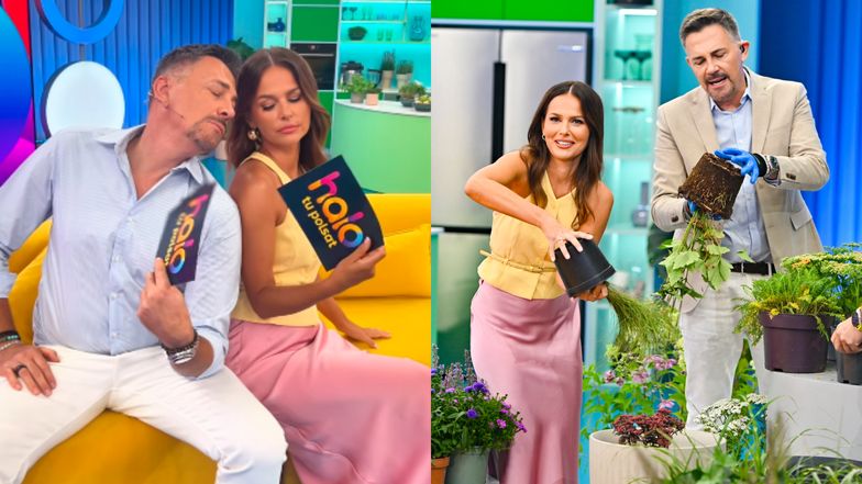 Krzysztof Ibisz i Paulina Sykut-Jeżyna debiutują w "Halo tu Polsat". Fani podzieleni: "CHAOS" vs. "NAJLEPSZA para"