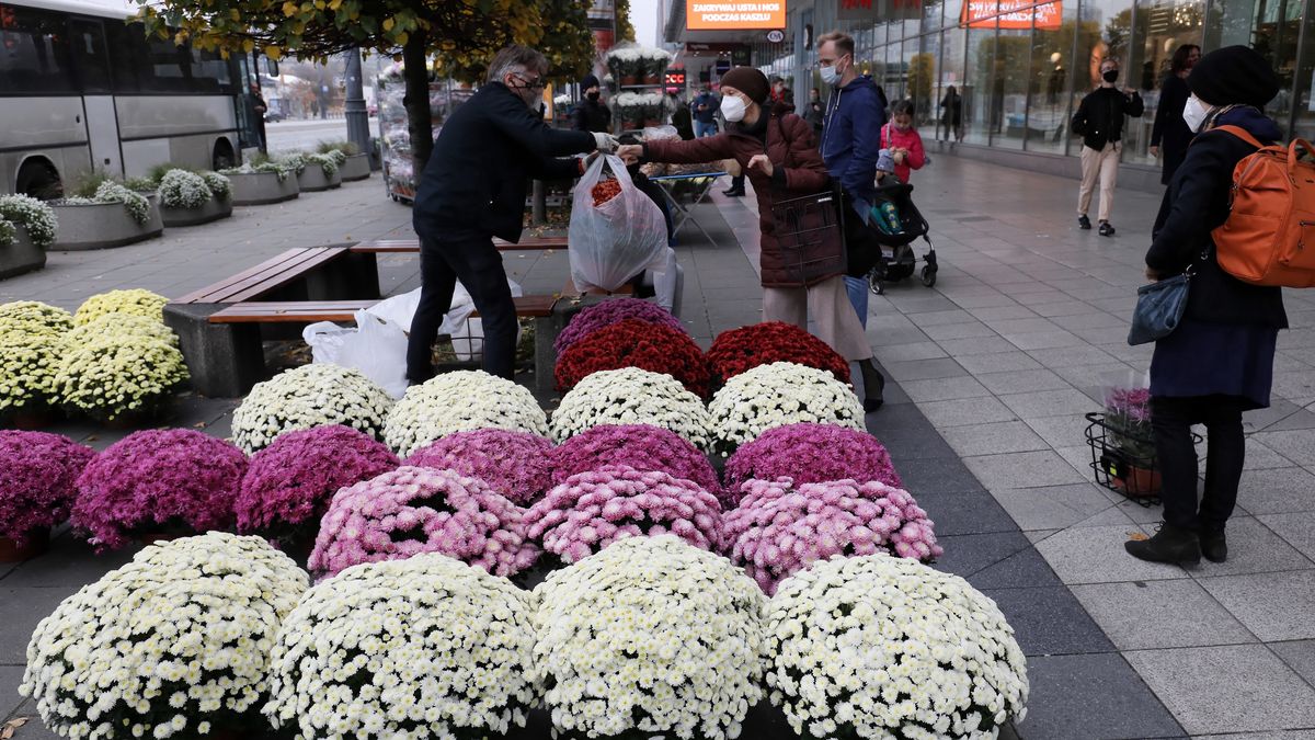 Od poniedziałku rusza rządowy skup niesprzedanych kwiatów. 