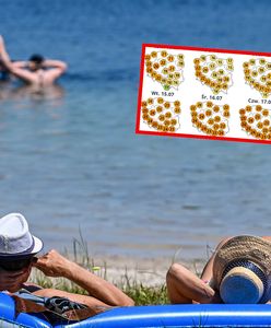 Kiedy wrócą wysokie temperatury? Jest prognoza