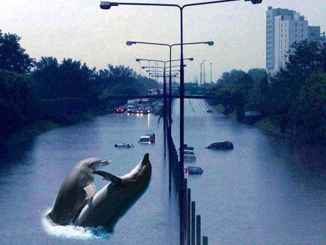 "Nie róbmy polityki, dmuchajmy pontony". Najlepsze memy o zalanej Warszawie 3