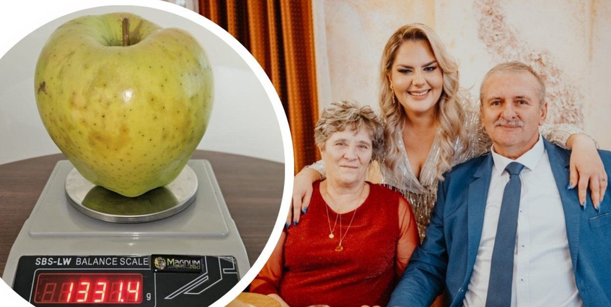 Głazów: Mutsu, czyli jabłko-gigant w Księdze Rekordów Polski