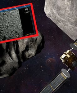 "Wielki skok ludzkości". NASA ogłasza sukces