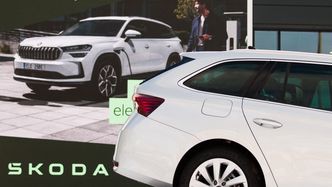 Škoda napędza sprzedaż Grupy VW w Polsce. Jedna marka zaliczyła spadek
