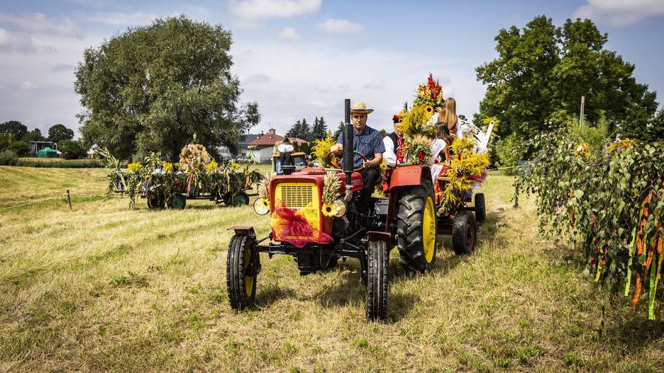 Święto plonów w Nowej Hucie to duża impreza w Krakowie ciesząca się wielką popularnością