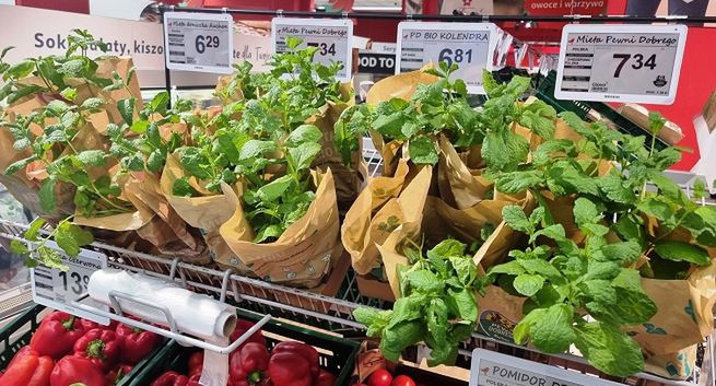 Rewolucja w Auchan. Sieć masowo wprowadza elektroniczne cenówki