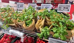 Rewolucja w Auchan. Sieć masowo wprowadza elektroniczne cenówki