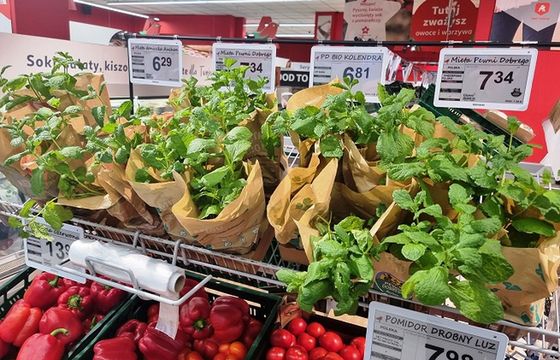 Rewolucja w Auchan. Sieć masowo wprowadza elektroniczne cenówki