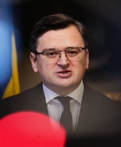 Ogłoszenie utworzenia sojuszu Wielkiej Brytanii, Ukrainy i Polski odłożone. Co się stało?
