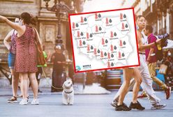 Pokazali prognozę na lato. Ten trend utrzyma się przez cztery miesiące