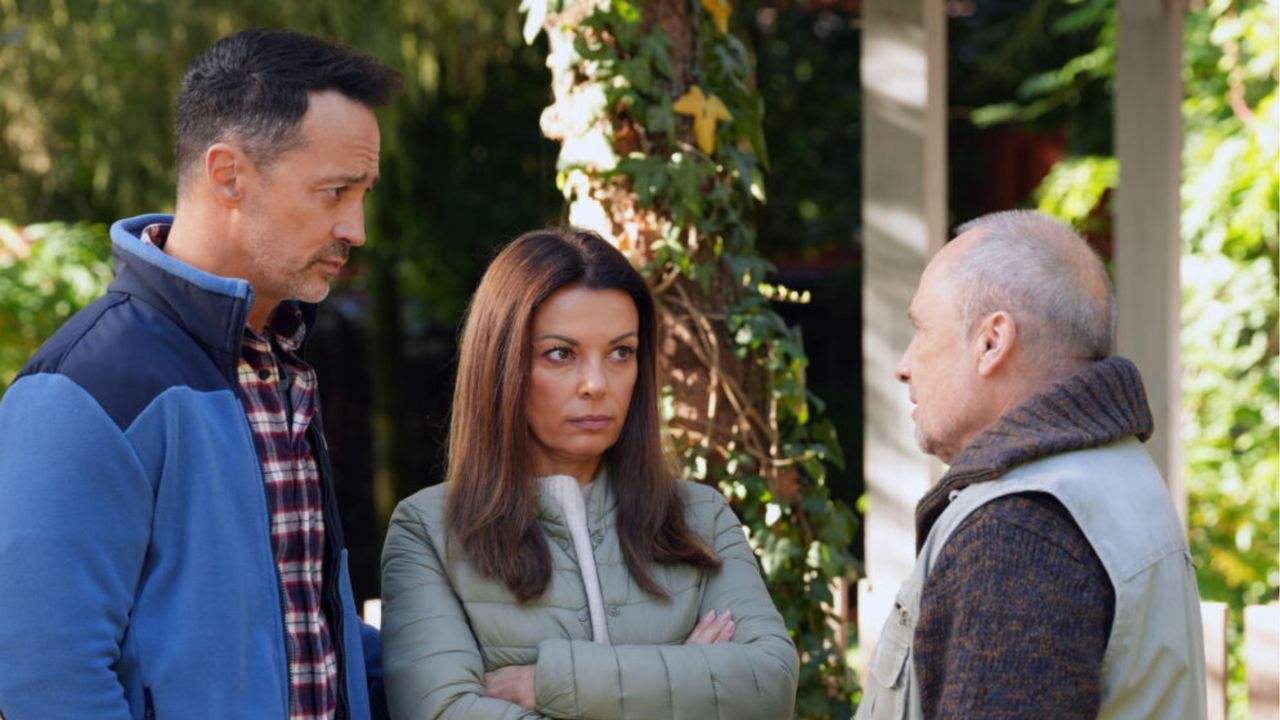 "Barwy szczęścia", odc. 3333. KONFRONTACJA w serialu. Wszystko po wypadku samochodowym