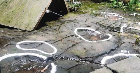Spojrzeli na podłogę w restauracji. Czegoś takiego nikt się nie spodziewał