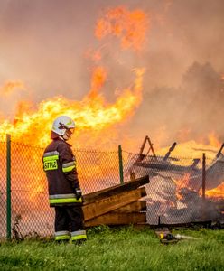 Koszmarny weekend w Polsce. Rzecznik straży podał zatrważającą liczbę