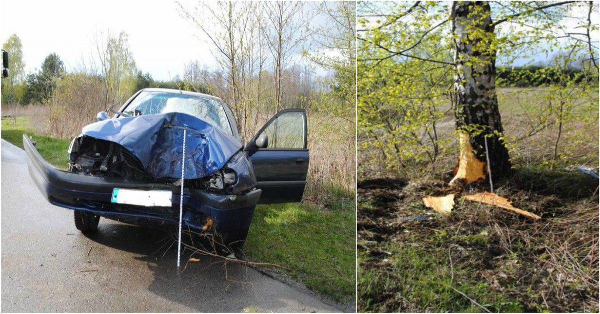 Przydrożnych drzew nie trzeba wycinać. Można ulepszyć infrastrukturę, ale to kosztuje