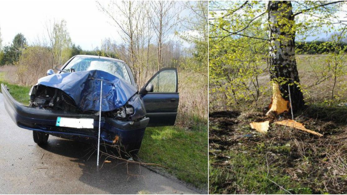Uderzenia w drzewa należą do najniebezpieczniejszych