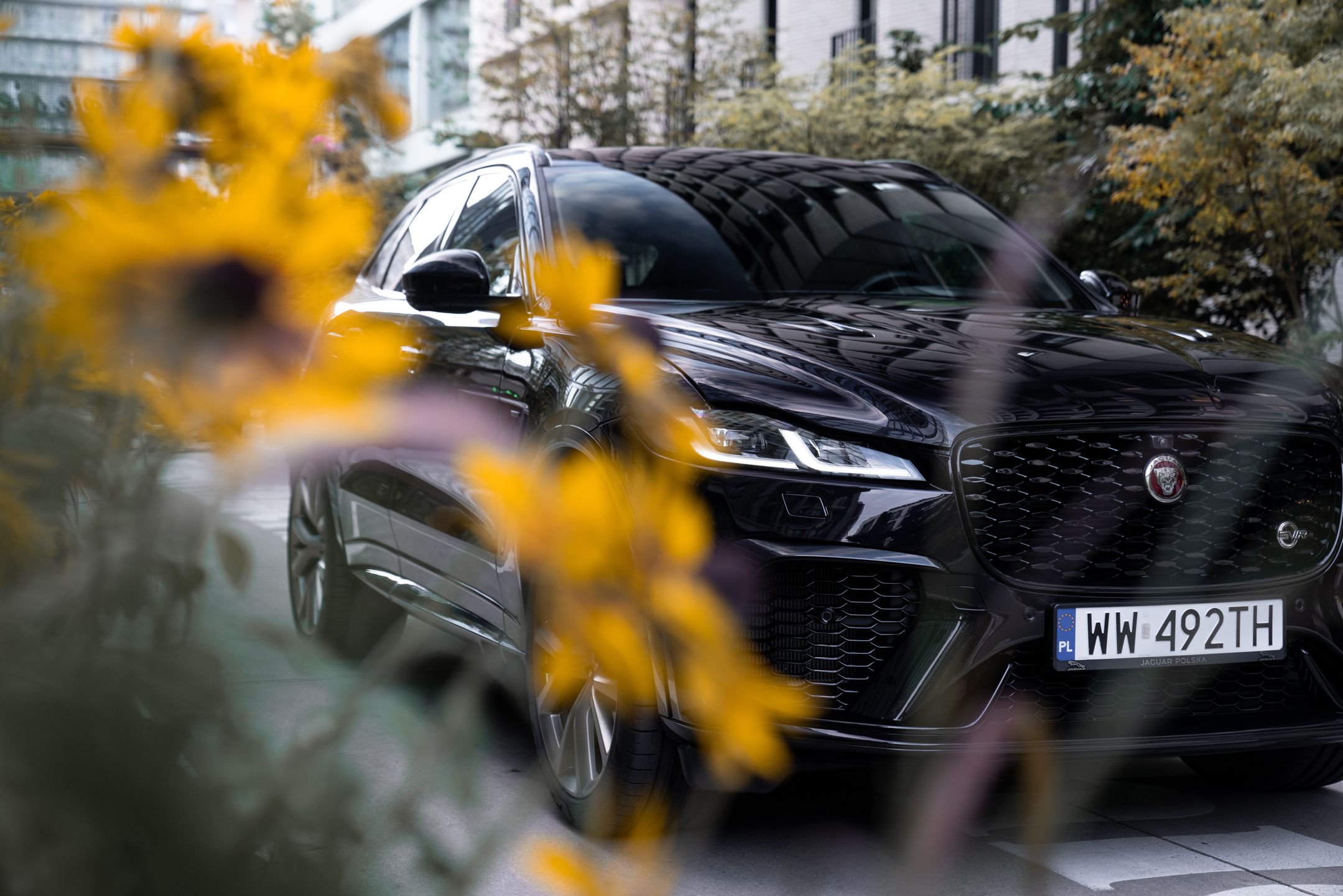 Jaguar F-Pace SVR Edition 1988