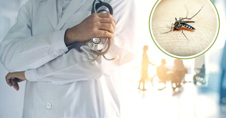 Argentyna walczy z epidemią. Komary przenoszą groźną chorobę