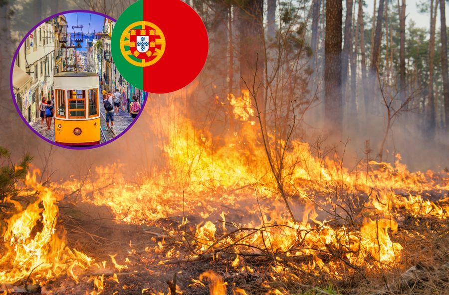 Pożary Portugalia