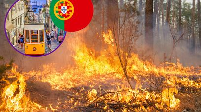 Pożary w Portugalii. Czy turyści również są zagrożeni?