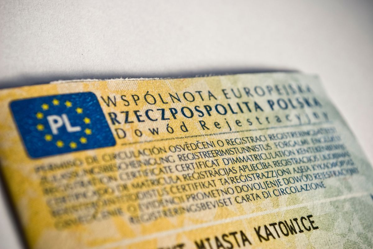 Ten znak pozwoli uniknąć mandatu