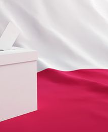E-głosowanie szansą na wyższą frekwencję. Na system informatyczny potrzeba 30-50 mln zł