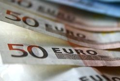 Przedsiębiorcy nie chcą płacić w euro. Poparcie dla europejskiej waluty spada