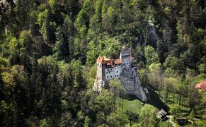 Planete+ Najdziksze ostępy Europy 2