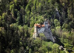 Planete+ Najdziksze ostępy Europy 2