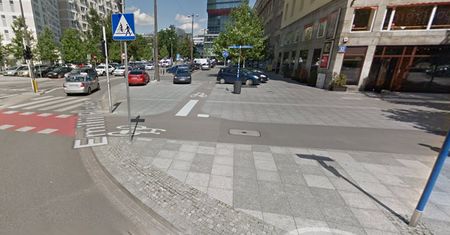 Zwierz na dwóch nogach w centrum Warszawy. Jest nagranie