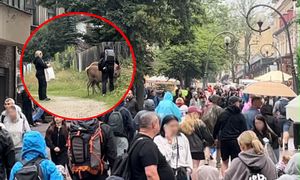 Zdjęcia z Zakopanego hitem w sieci. "Niewyobrażalna nieodpowiedzialność"