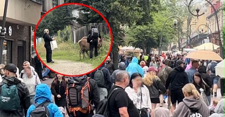 Zdjęcia z Zakopanego hitem w sieci. "Niewyobrażalna nieodpowiedzialność"