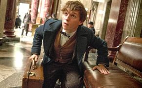 TVN 7 HD Fantastyczne zwierzęta i jak je znaleźć