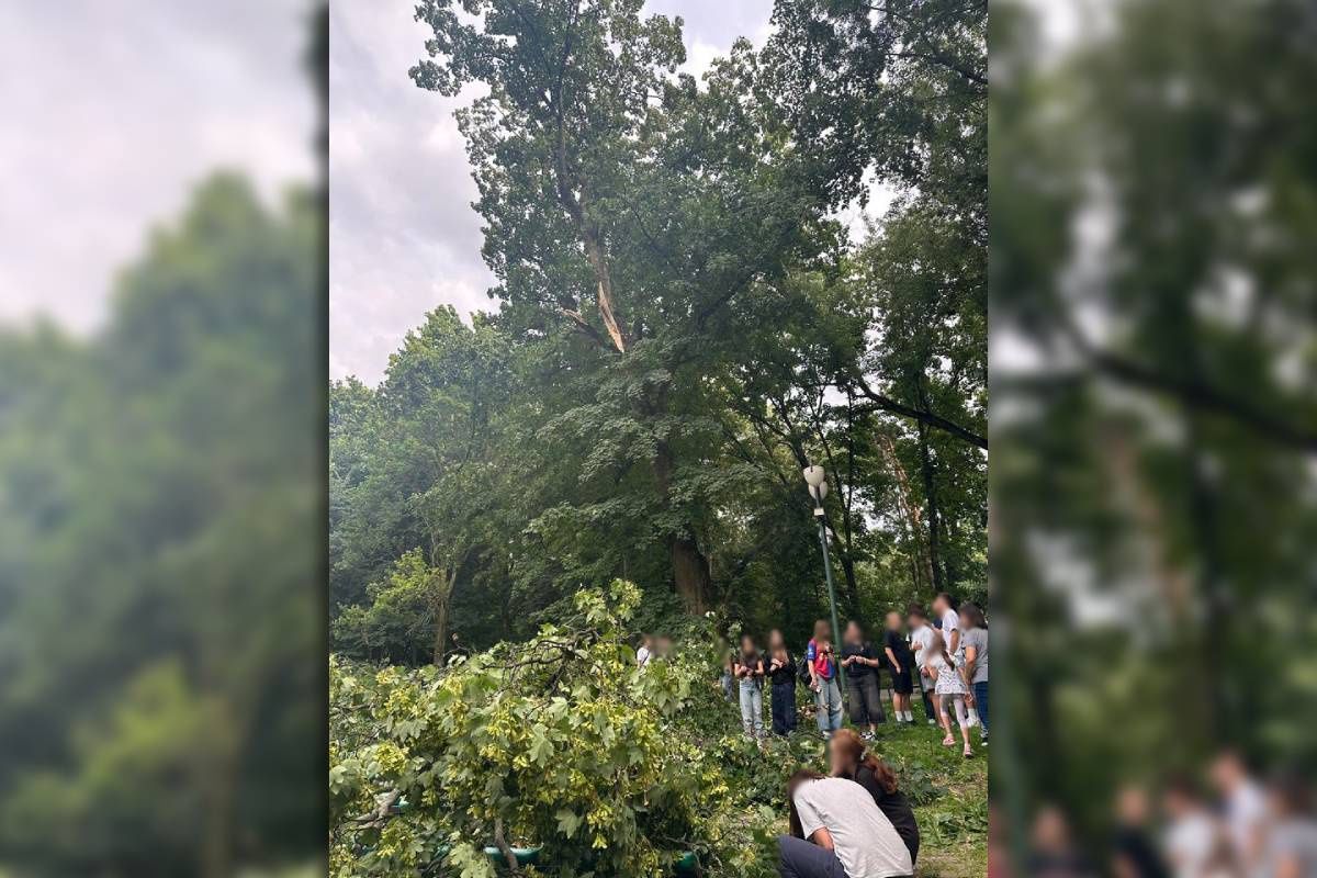 Konar oderwał się od drzewa i spadł na nastolatki w Ogrodzie Saskim