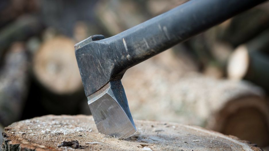 Poznań. Brutalne morderstwo. Sprawca mieszkał ze zwłokami