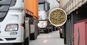 Transport z Brazylii zatrzymany. To było w środku. Odrażające odkrycie