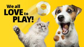 Marka Josera towarzyszy Mistrzostwom Europy w Piłce Ręcznej Mężczyzn 2026!