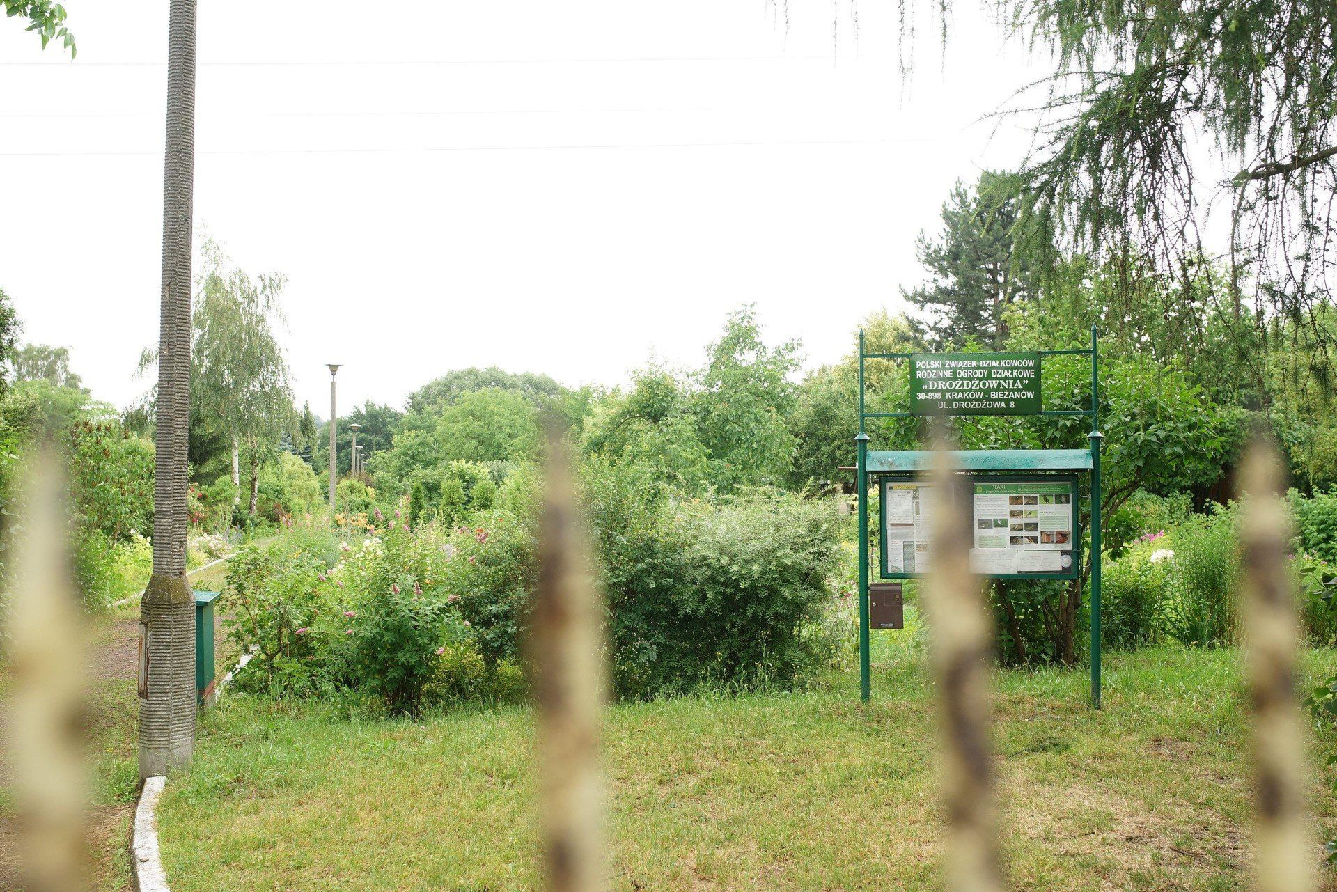 Ogródki działkowe przy ul. Drożdżowa w Krakowie