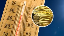 Hit na upały w mieszkaniu. Weź 8 zł i idź do apteki