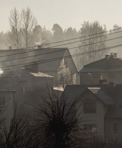 Polacy wciąż nie widzą problemu smogu. Połowa nie sprawdza jakości powietrza