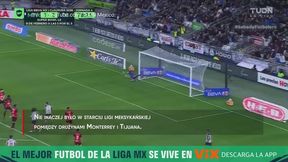 Zerwał pajęczynę. Zobacz kapitalnego gola