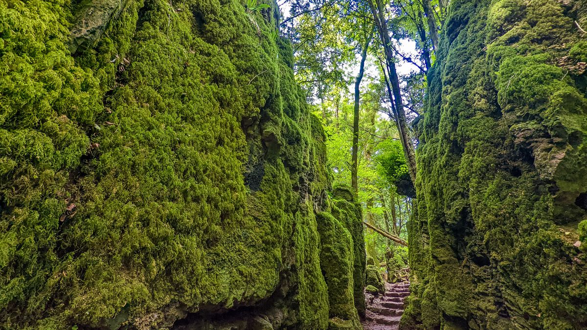 Porośnięte mchem skały robią niesamowite wrażenie