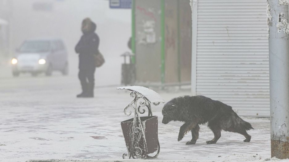 Blisko rekordu. Taką temperaturę odnotowano w Rosji