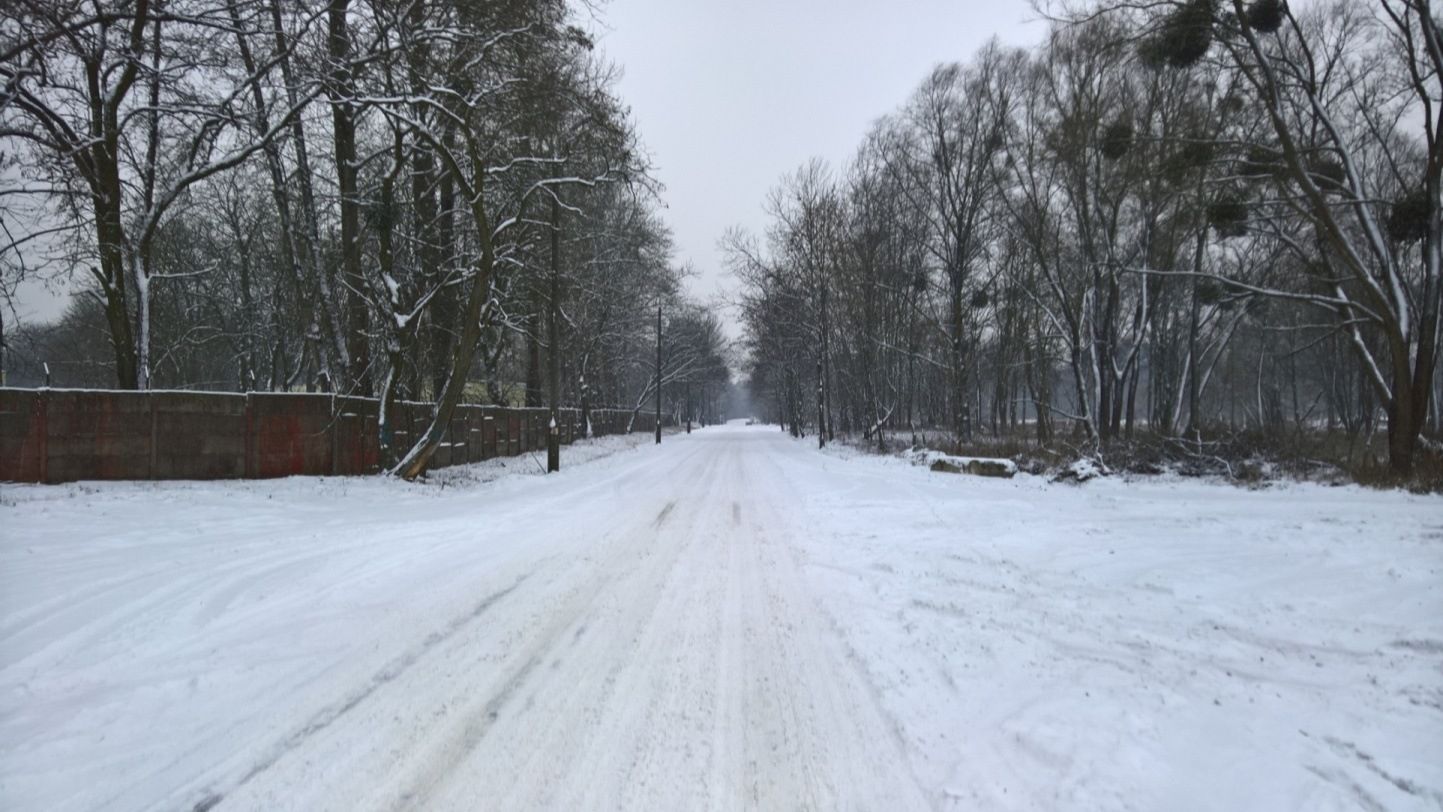 Microsoft Lumia 950 - test i recenzja 51