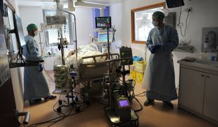 Koronawirus w Polsce. Raport ws. zajętych respiratorów i łóżek (22 kwietnia)