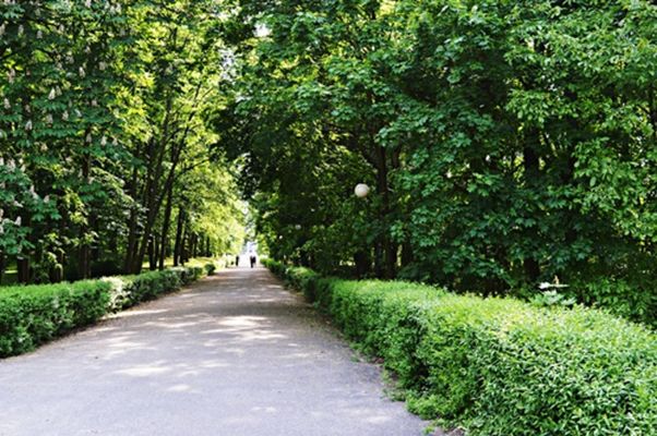 Poznaj Poznań od strony natury, czyli 5 najpiękniejszych parków i ogrodów w Poznaniu
