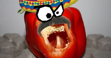 Forumogadka #12