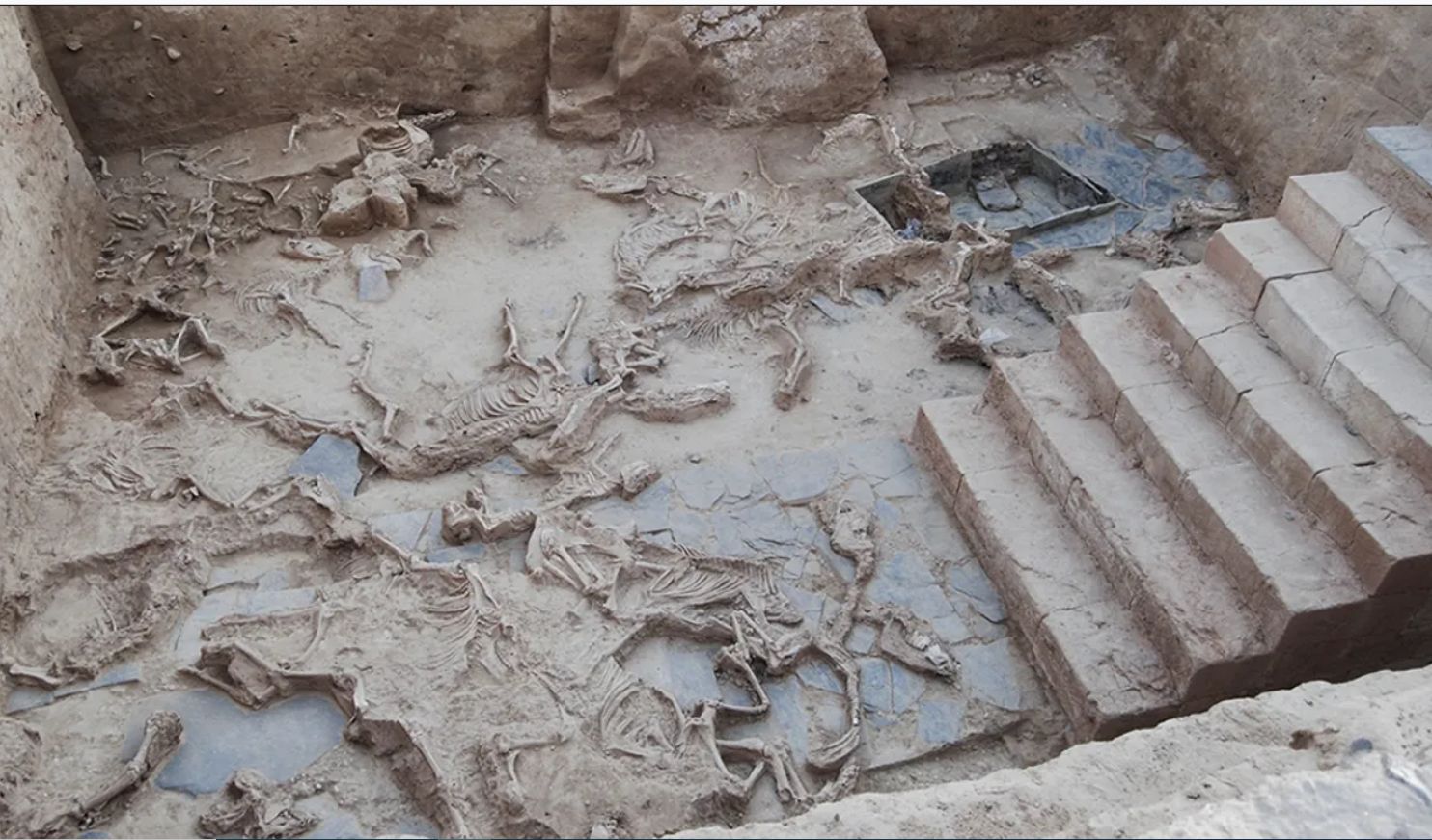 Ritual animal sacrifices.  Thousands of bones discovered in Europe – o2