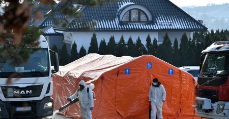 SARS-CoV-2 u norek. Hodowca z Pomorza wybija swoje stado. Rekompensaty nie dostanie