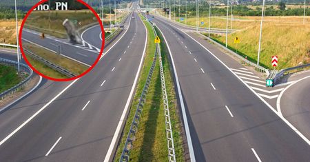 Przeżył dzięki poduszkom zderzeniowym. Cud to mało powiedziane