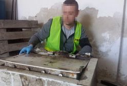 Sukces słupskiej policji. Rozbito 6-osobowy gang włamywaczy