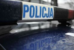 Bestialsko zabity pies w Myszkowie. Policja szuka sprawcy